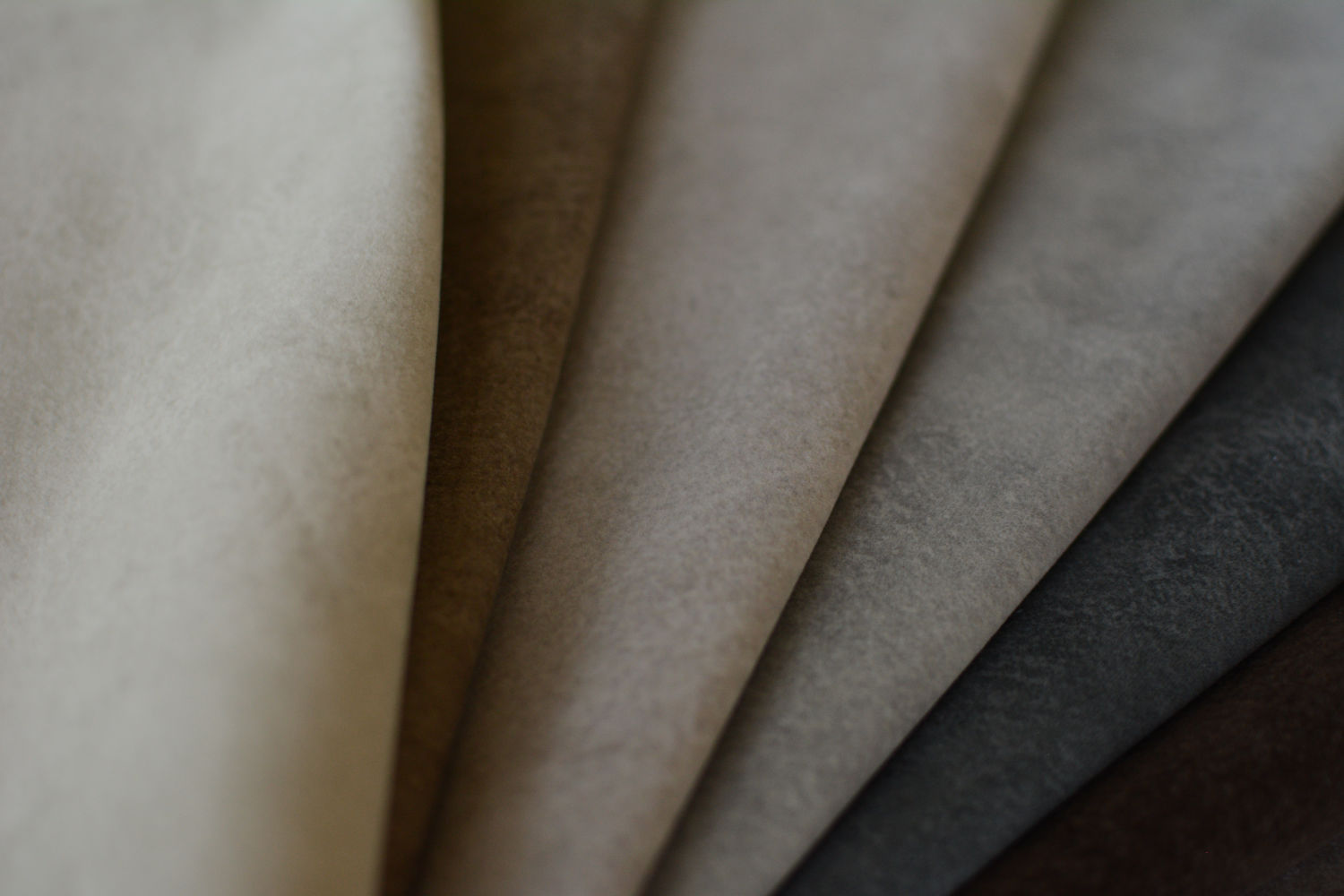 TEXTURA BULL 2