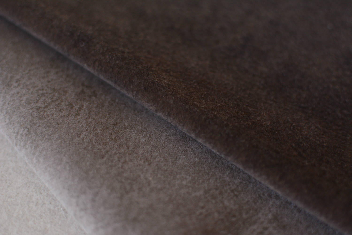 TEXTURA BULL 6