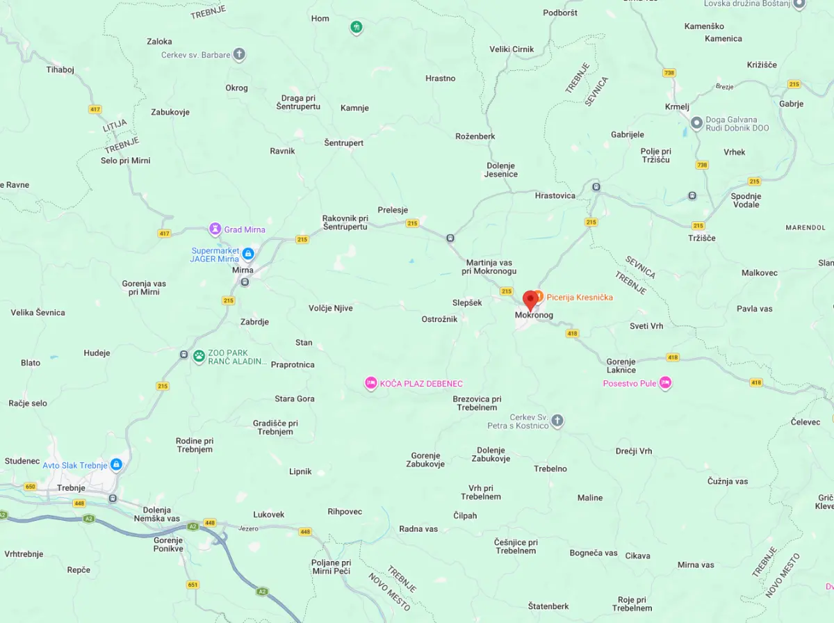 Podrobni zemljevid Mokronog